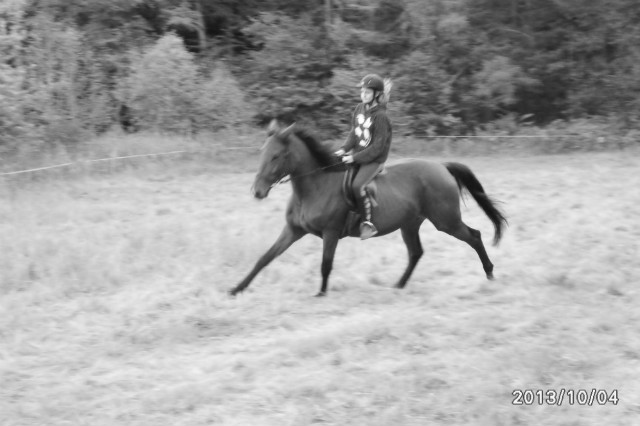 gallop