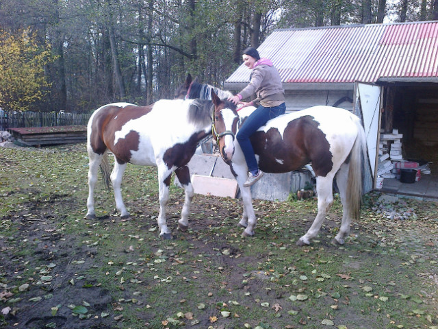 zdrada ;P