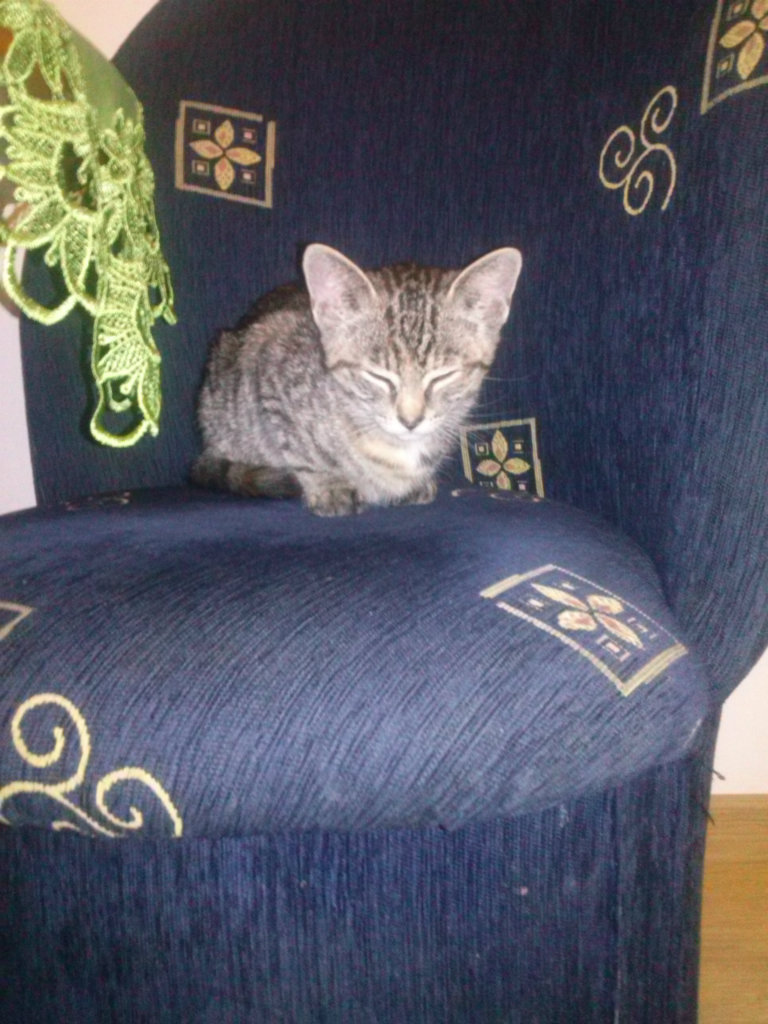 Samanta :)