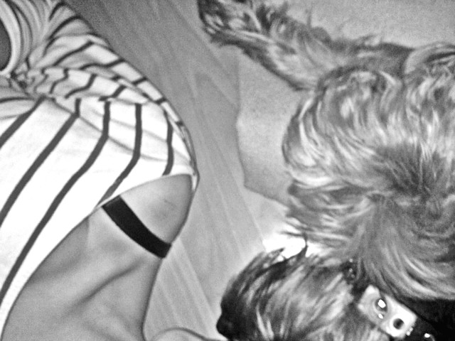 hi doggy *_*