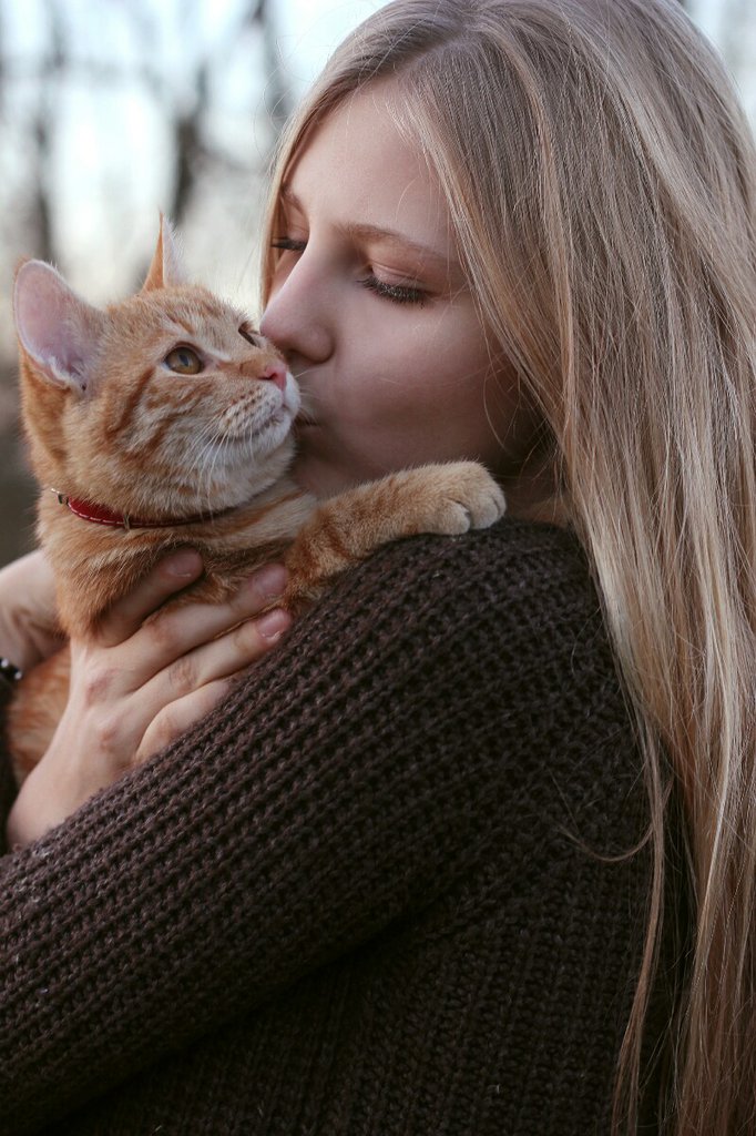 Alf I