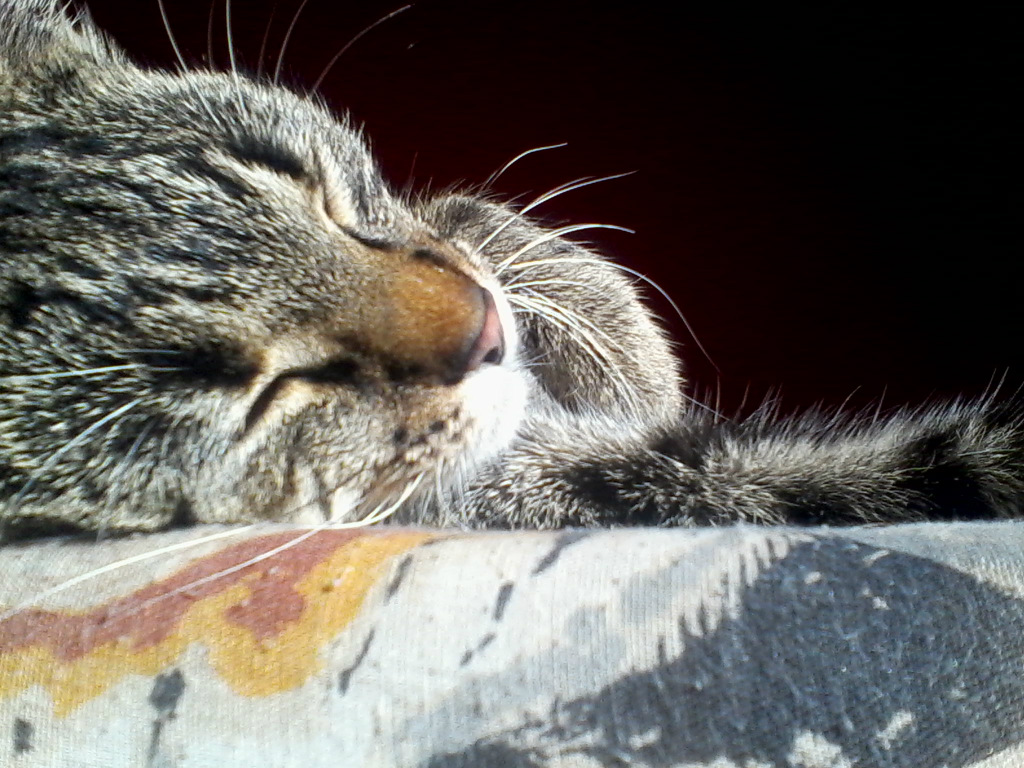 FREDKA ^^