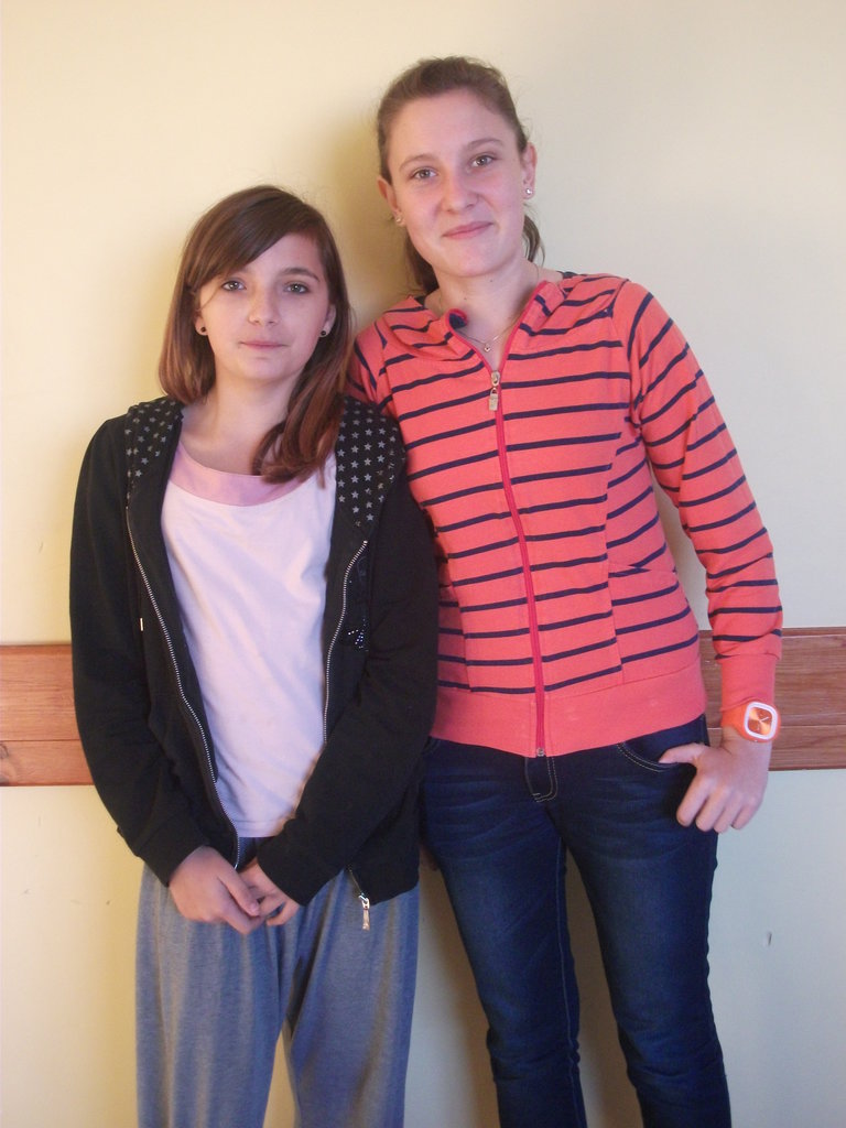 Z sandr