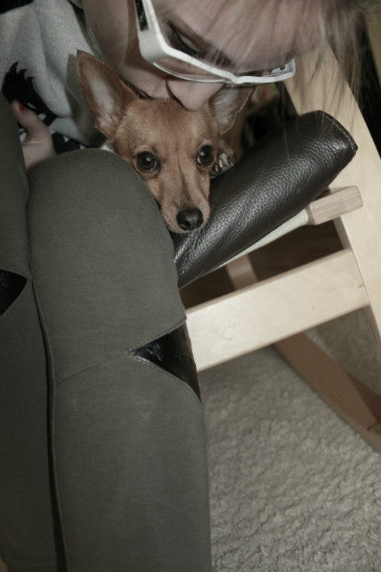 Scooby