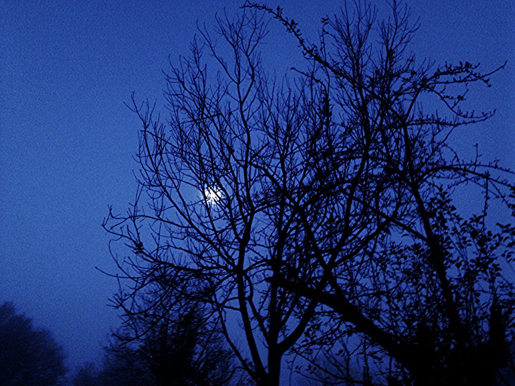 kolejne zwalone zdjcie
