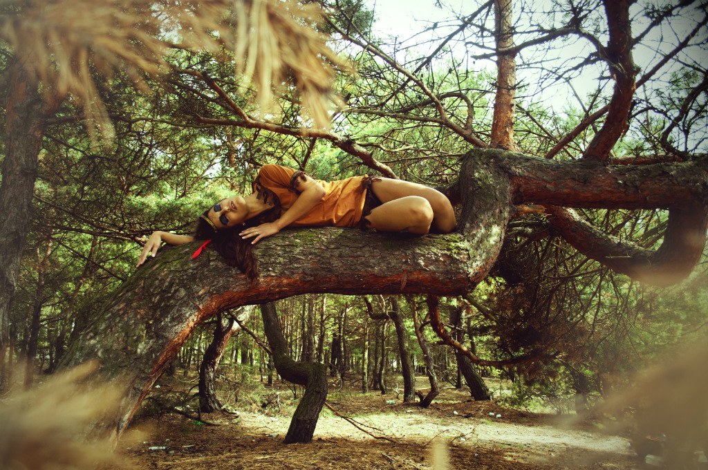 dreams 