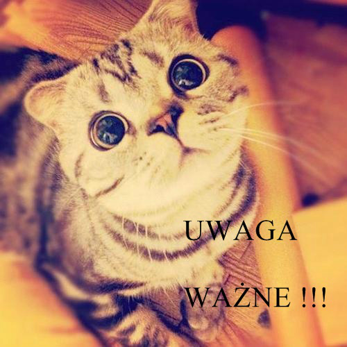 Iwona