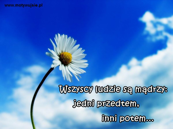 Bardzo wiele ksiek nalezy prze