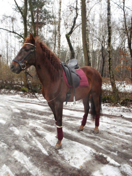 SPRZEDAM purpurowy komplet