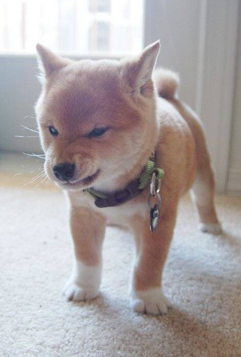 ;*