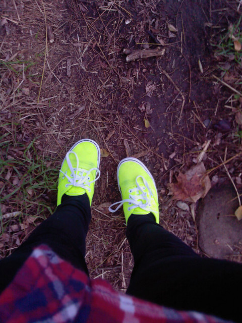 vans everywhere