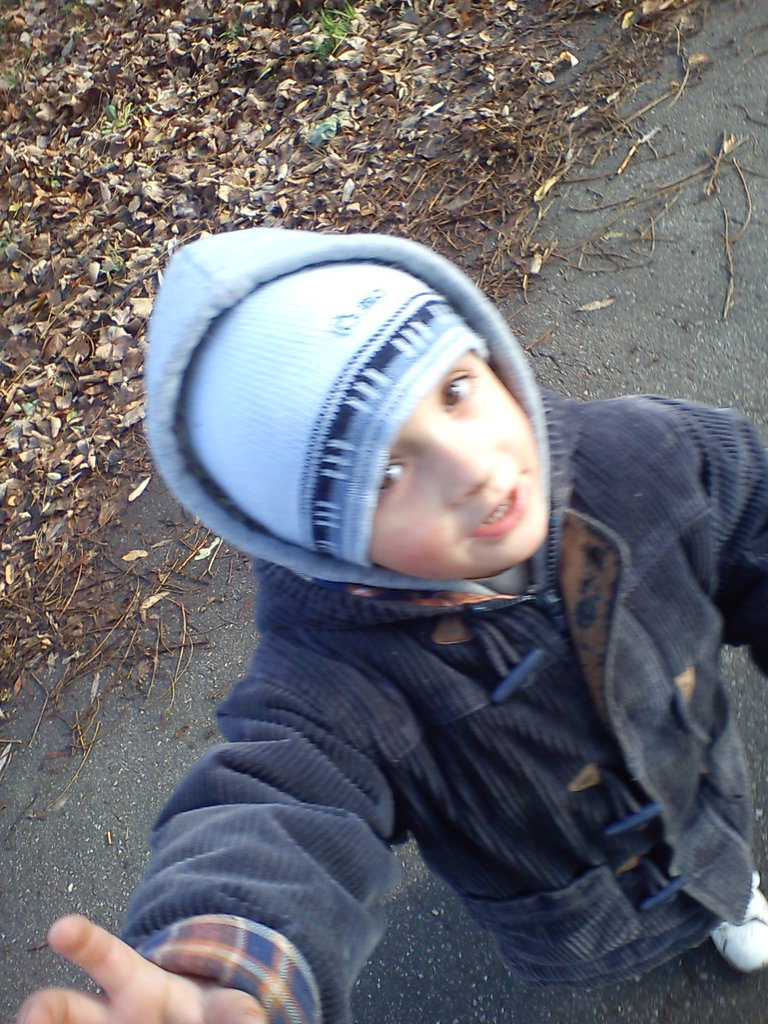Sebus:*