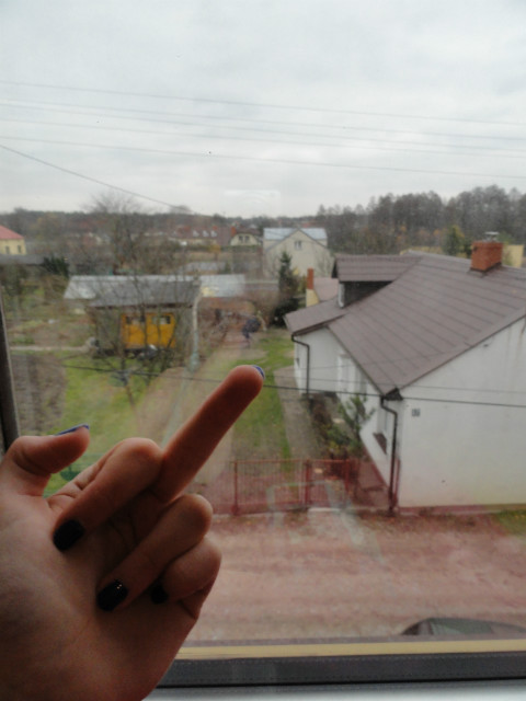 3.