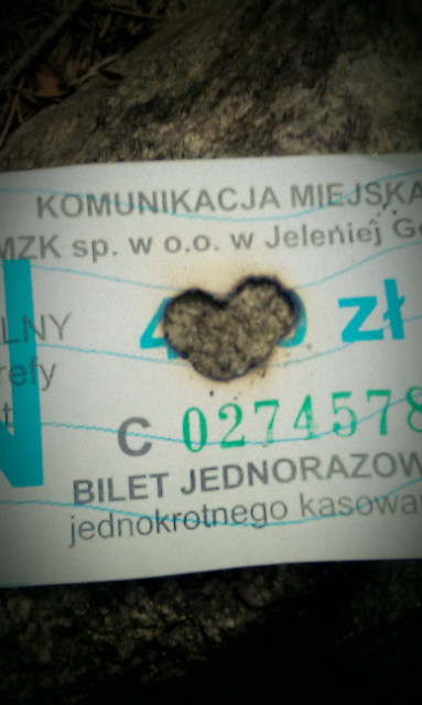 Last Letter.
