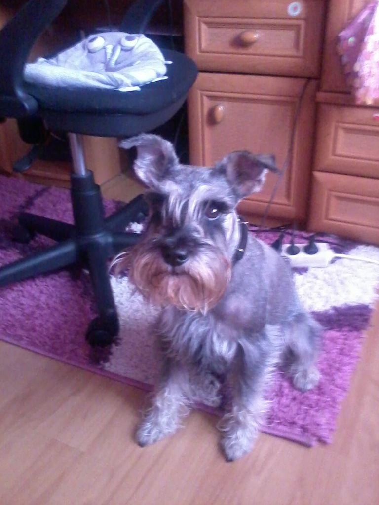 Drago