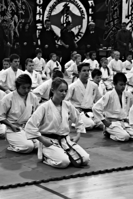 Kyokushin .