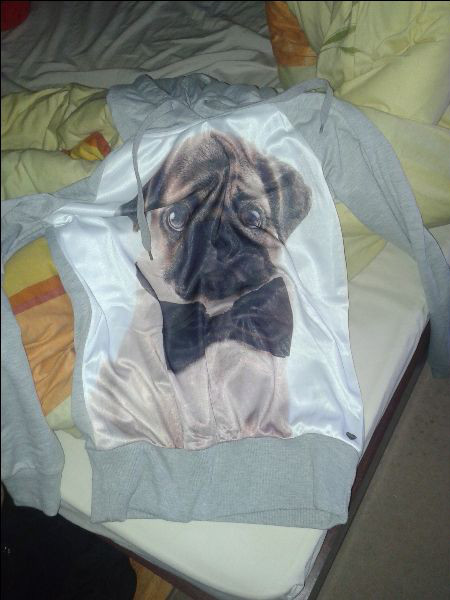bluza