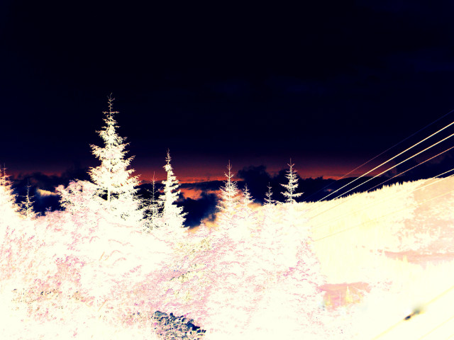 Odwrcone