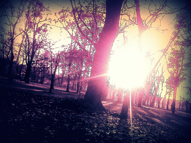 Park :D