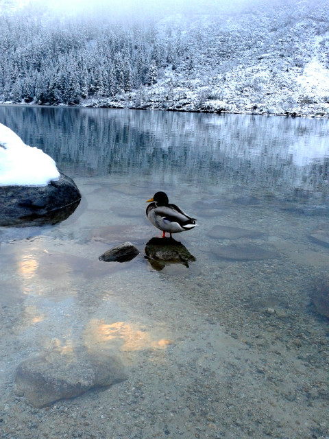 Morskie Oko