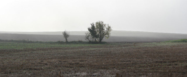 rano16listopada. 