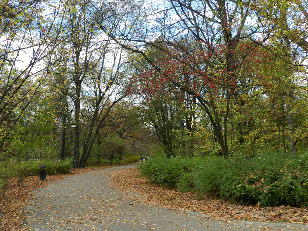 Park Poudniowy Wrocaw