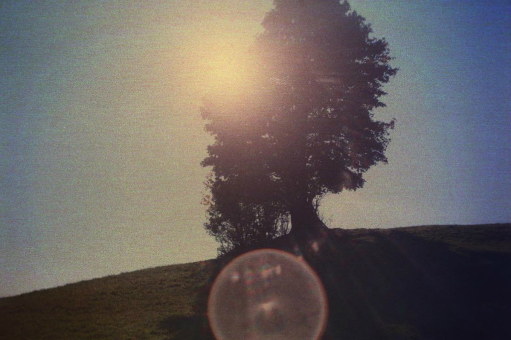 sunrise sunrise