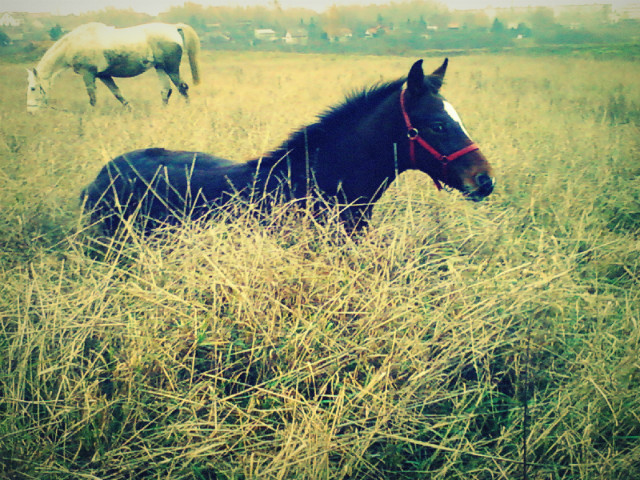 Power full ! *.*