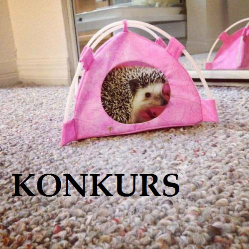 KONKURS