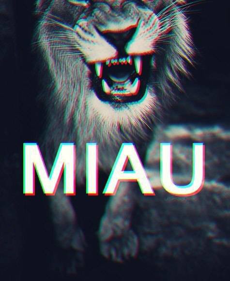 miau