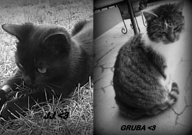 Moje mae  :C 