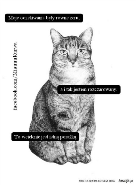 Miau, kurwa
