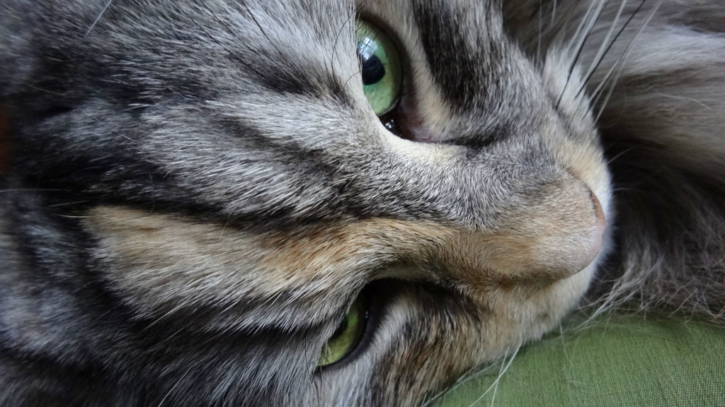 AIRA