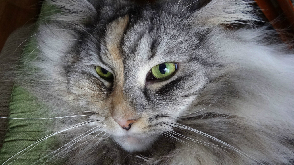 AIRA