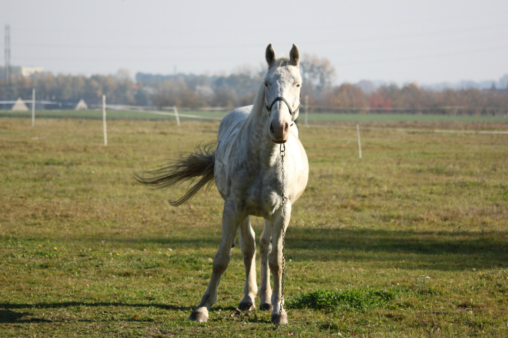 Brudny Luksus *.*
