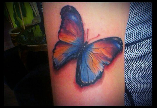 Kolorowy motyl Kattattoo 