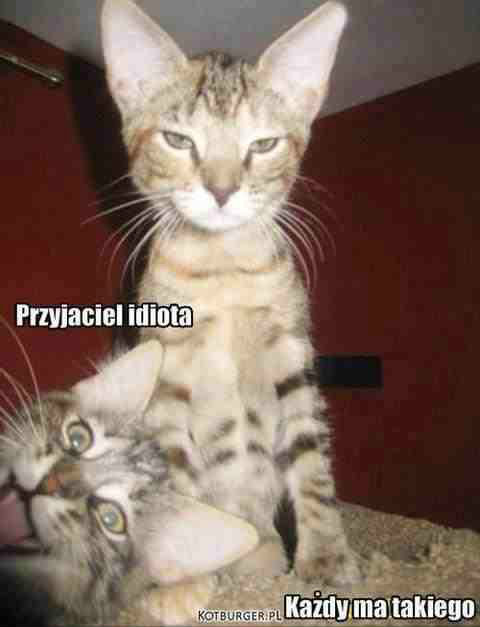 eeehhheeem :D 