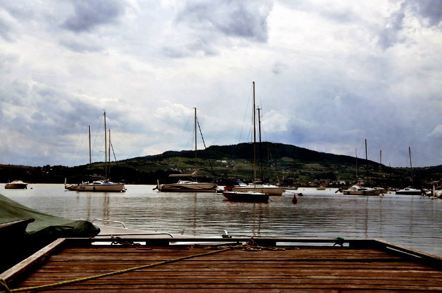 view