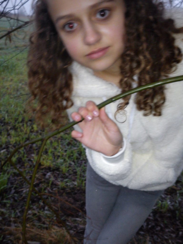 elo ;*