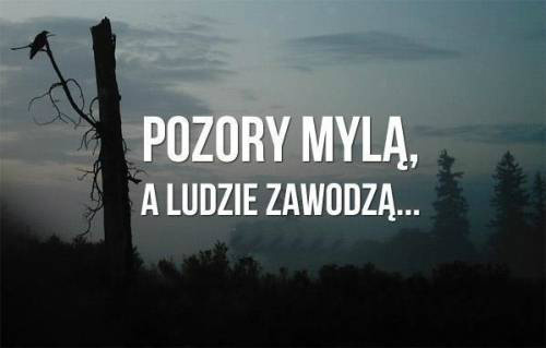 Cytaty.
