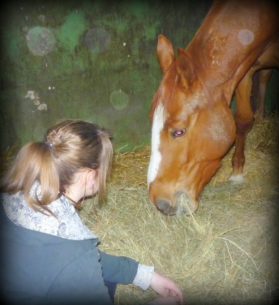 Duma :D