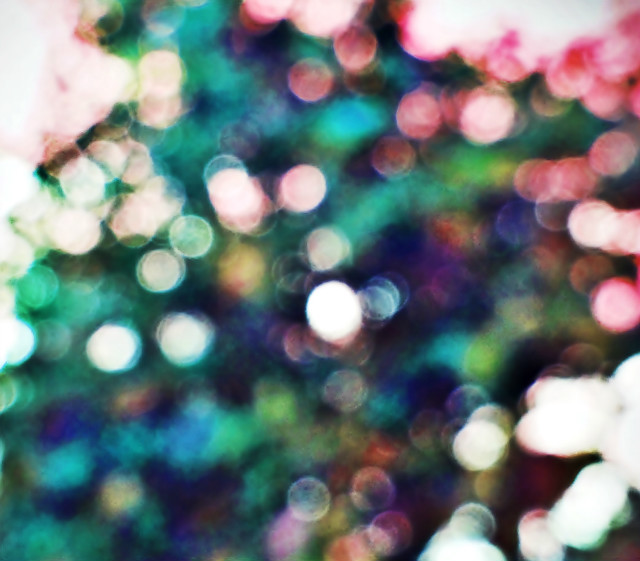Bokeh