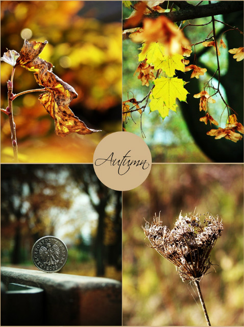 Autumn.