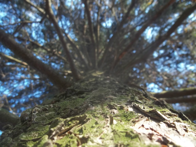 Natura !!