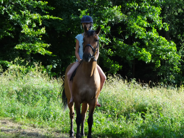 Lato *.*