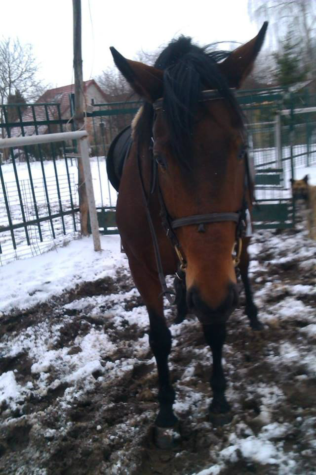 Pierwsze zimowe &#9829;