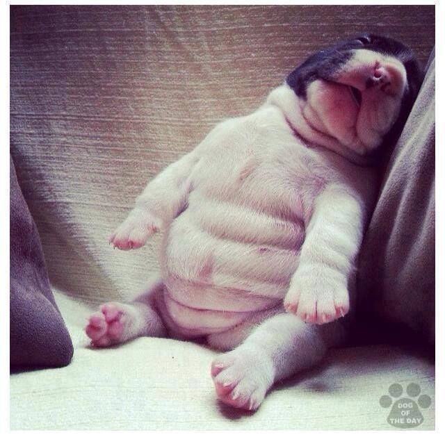 Six pack of jelly rolls :)