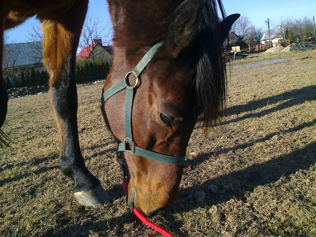 Nowy dom.