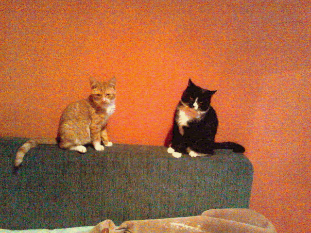 Milusie, malusie, kochane :D
