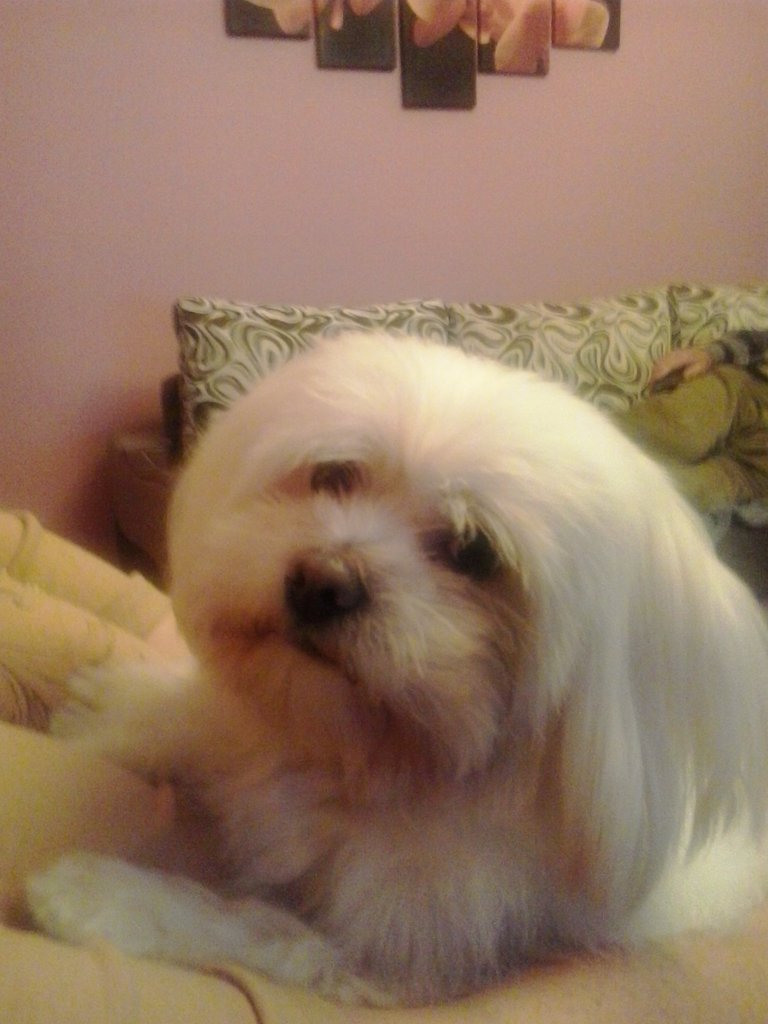 nikoo :)